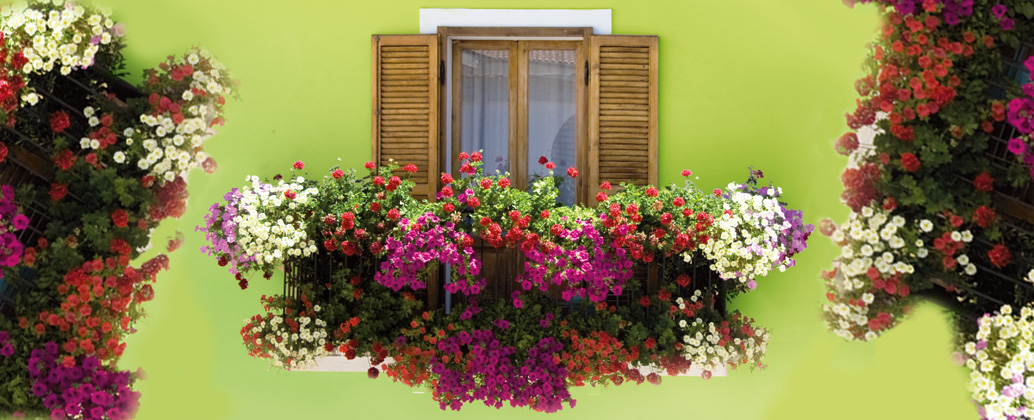 concours de jardins et balcons fleuris à Taverny