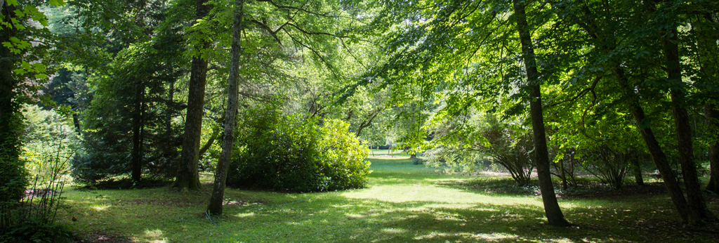 arboretum