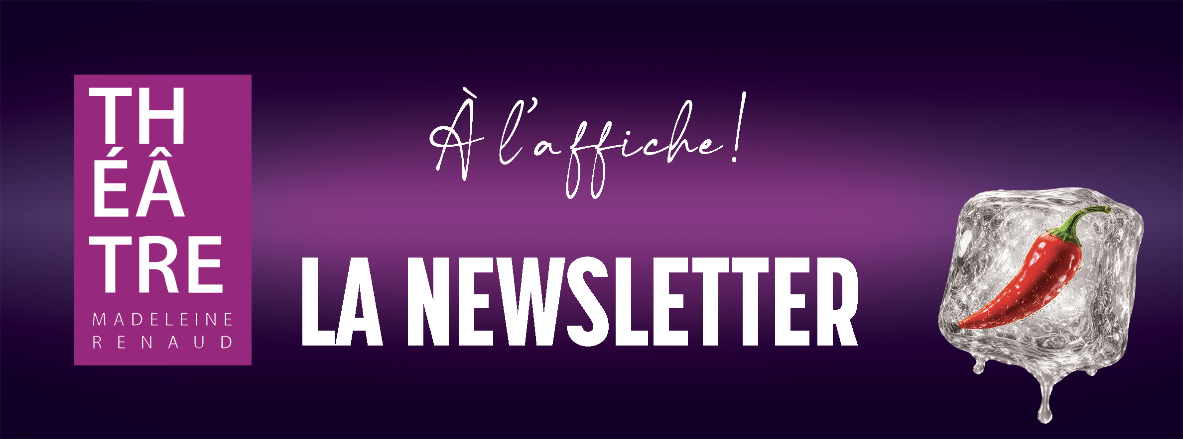 Inscrivez-vous à la newsletter du Théâtre Madeleine-Renaud !