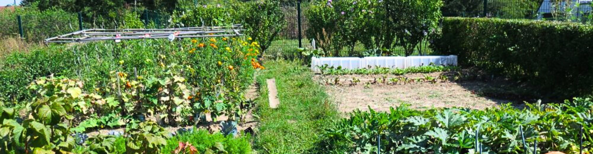 les potagers urbains de taverny