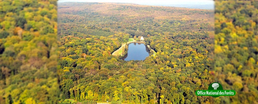 La forêt de montmorency