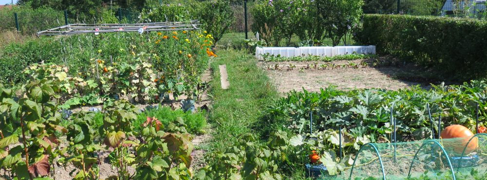 les potagers urbains de taverny