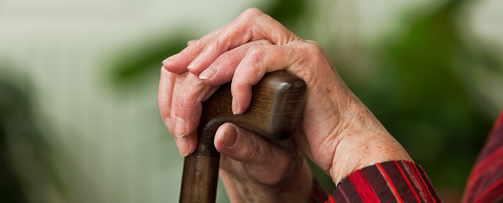 les structures pour seniors à Taverny