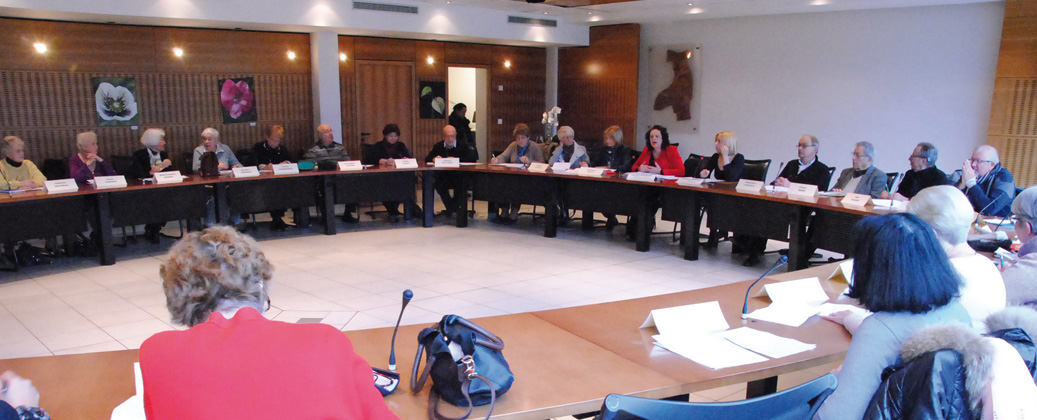 le conseil municipal des seniors à Taverny