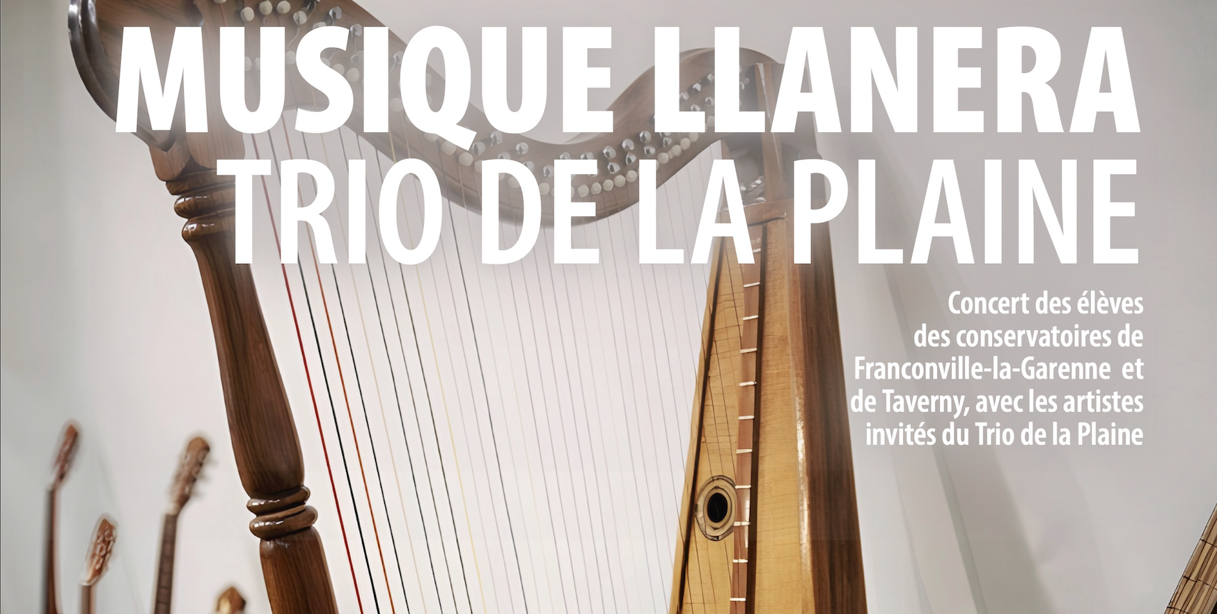 Musique Llanera - Trio de la Plaine