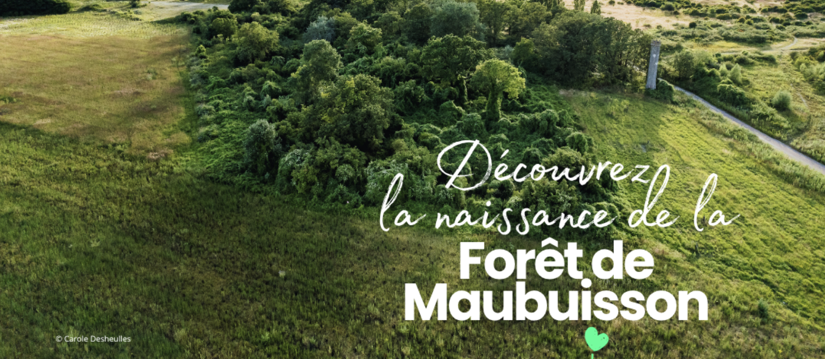 Forêt de Maubuisson - Journées Européennes du Patrimoine 2026